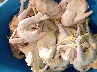 tap az at: Salam Aleykum. Sirf bu isle mesguluq her bazar gunu Bakiya gelirik — 7