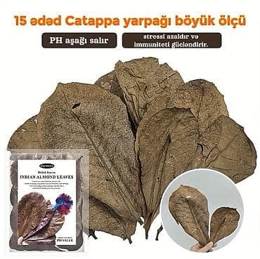 bala ordek: Hamısı cəmi 43 AZN Pastlanmaz şüşə silən 50 sm + üzərində 10 ədəd — 3