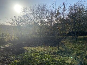 купить дом в азербайджане баку: Для сельского хозяйства — 2