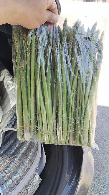 pecka soba: Məhsul: Qulançar Yaşıl #Asparaqus (sparja) – istixanada — 9