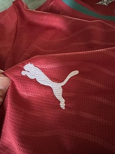 Личные вещи: Мужская футболка, Puma, S, цвет - Красный — 5
