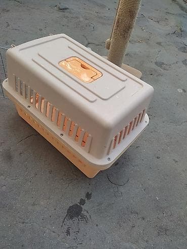 Heyvan daşıma boksu -80 manata almışam az istifade edilib yeni kimidir — 4