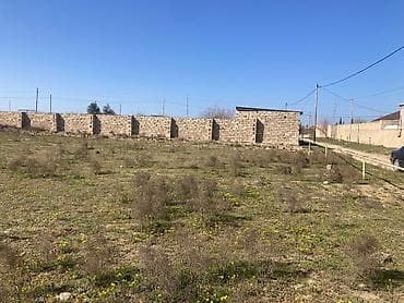 ismayilli torpaq: 14 sot, Kənd təsərrüfatı, Maklerlər narahat etməsin — 4