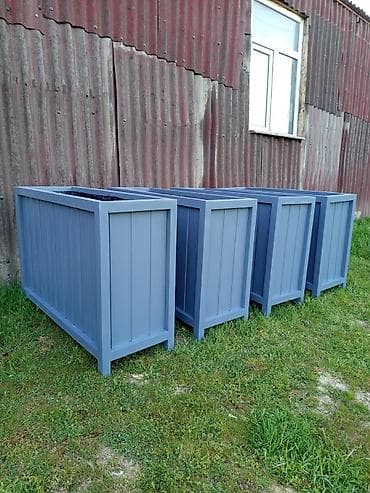 bitkilər: Taxtalar ile ev, bağ, restoran, ofis, otel ve s. məkanlarınızın müasir — 3