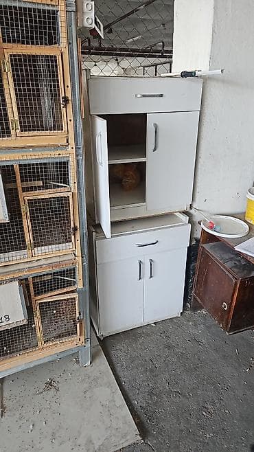 Quşlar üçün çox-seksiyalı qəfəs komplekti. eni 4 metr hünd 2.5 metr — 1