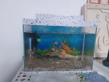 Akvaryum seti - Şüşə akvaryum, dekorativ naxışlı üst və alt çərçivə -