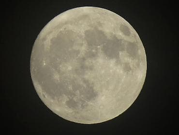 Fotokameralar: Canon PowerShot SX50 HS fotoaparat - 50x optik zum (24–1200 mm ekv. — 7