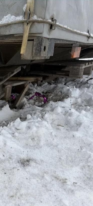 qazel kapotu: Qazel bortu razmer 4 .20 — 10