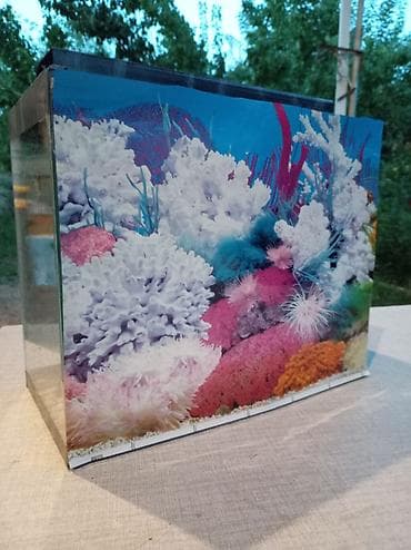 teze bazar akvarium: Akvaryum dəsti - Şüşə akvaryum, düzbucaqlı forma - Təxmini ölçülər — 4