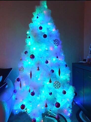 böyük yolka: Ag yolka — 1