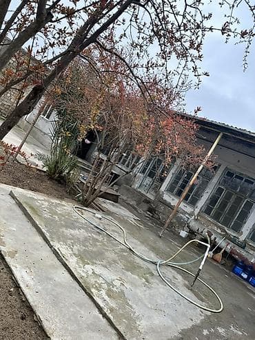 saray mtk ev satilir: Həyət evi və geniş torpaq sahəsi - Böyük həyət: tam daş hasarla — 3