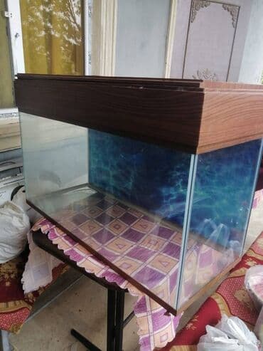 akvarium 120 cm: Çox yaxşı vəziyyətdədir — 3