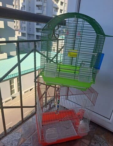 qawinmaya qarwi derman: Quş qəfəsləri dəsti - 2 ədəd qəfəs: biri üstü qübbəli yaşıl metal — 2