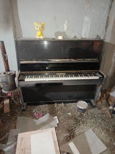piano dərsləri: Piano, Belarus, Akustik, İşlənmiş, Ödənişli çatdırılma — 1