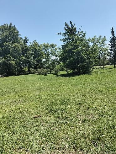 Bağ işi Axdaram Bakı erazlarda qazın su bağa nezaret ve sayìr işler — 2