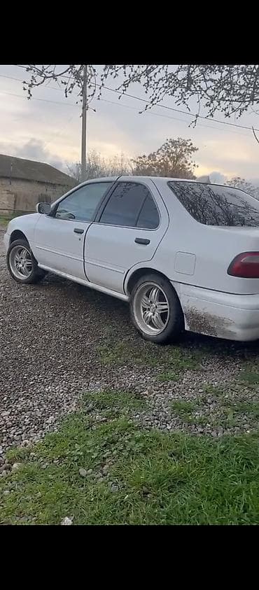 elf 5 30 yağ: Nissan Sunny: 1.6 l | 2000 il Sedan — 5