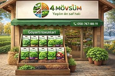 ketan toxumu harda satilir: Göyərti tumları 🌱 Ətraflı məlumat üçün əlaqə nömrələri — 1