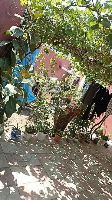 gencede ev: 4 otaqlı, 88 kv. m, Kredit yoxdur, Orta təmir — 6