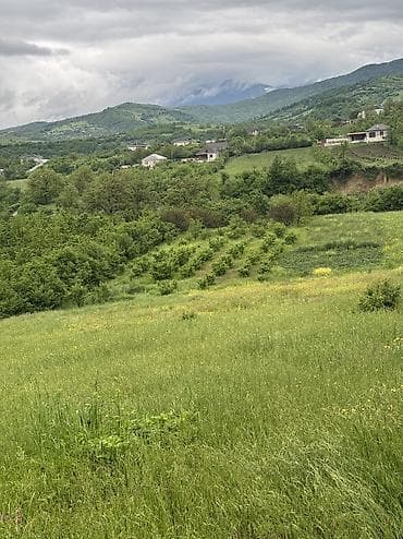1 otaqlı ev: 80 sot, Kənd təsərrüfatı, Mülkiyyətçi, Kupça (Çıxarış), Bələdiyyə — 5