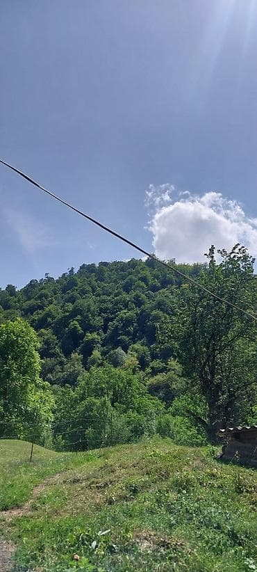 20 ci sahede kiraye ev: Dağ mənzərəli bağ sahəsi – yaşıllıq içində sakit məkan - Geniş — 2