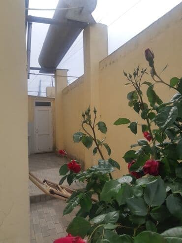 hazir ipotekada olan evler gence: Binəqədi qəs. 3 otaqlı, 120 kv. m, Kredit yoxdur, Orta təmir — 13