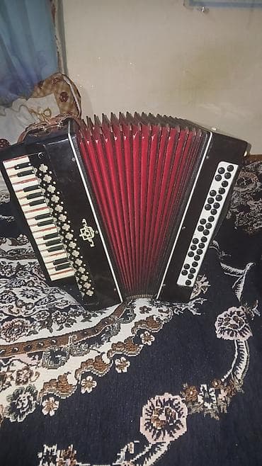 Daraq panellər: Akustik Akkordeon — 4