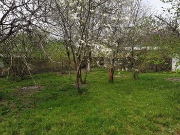 torpaq mingecevir: 12 sot, Tikinti, Makler, Kupça (Çıxarış) — 19