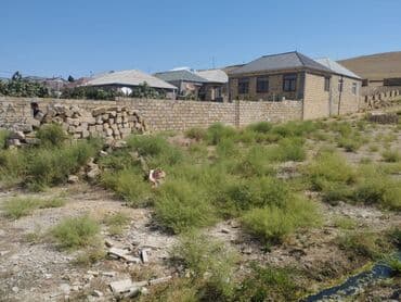 qobu hokmeli: 8 sot, Tikinti, Mülkiyyətçi, Bələdiyyə — 2