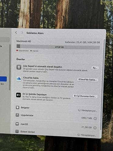 manitor 19: Apple Mac mini (Model A2338) – Apple M4 çipli Texniki xüsusiyyətlər — 8
