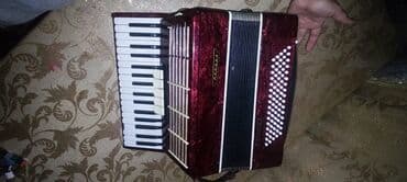 akkardion: Akustik Akkordeon, İşlənmiş, Ünvandan götürmə — 8