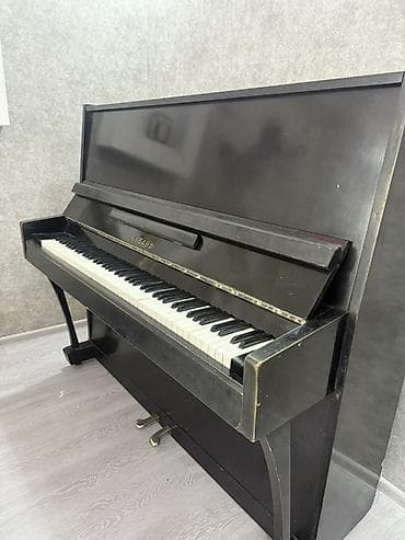 gitara akustik: Upright piano – “Кубань” markalı - Korpus: qara rəngli klassik — 5