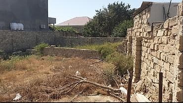 lan: 3 sot, Tikinti, Bələdiyyə — 2