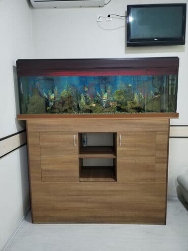 Dördbucaq akvarium, Boş, 500 l, Ünvandan götürmə