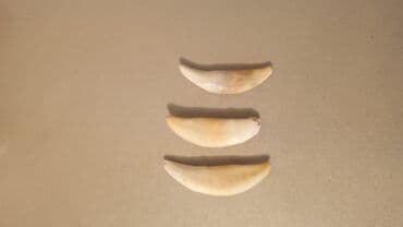 boyuk bədən ziyafət geyimləri: Kulon — 1