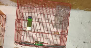 Животные: Quş qəfəsləri – müxtəlif ölçülərdə 1Ədədi-10AZN Məhsul təsviri: - — 2