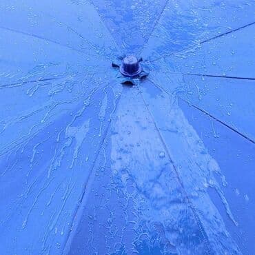 işlənmiş zontiklər: Zontik — 2