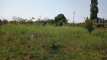 ramanada heyet evleri satilir: 14 sot, Tikinti, Mülkiyyətçi, Kupça (Çıxarış) — 3