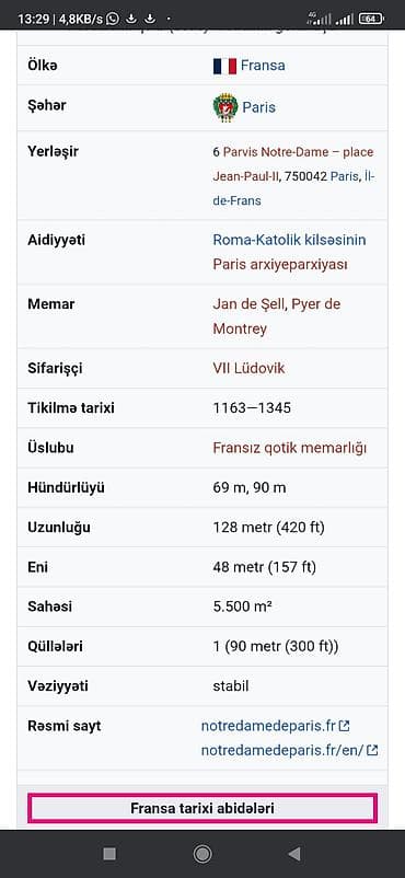 gumus 51: Məhsul: “Notre Dame d’Ayot Pin” təsvirli medalyon/suvenirdir — 6