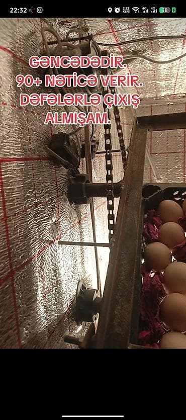 Avtomatik yumurta inkubatoru - Yerləşdiyi şəhər: Gəncə (şəkildə qeyd