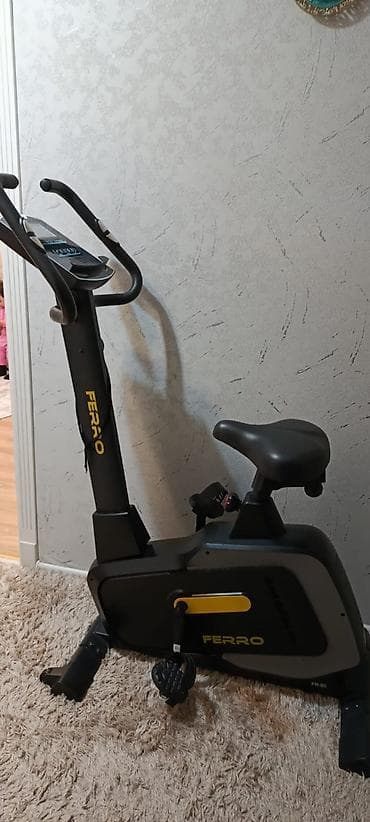 bilyard şarları: Ferro stasionar velotrenajor - Brend/model: Ferro (FR-80 yazısı — 1