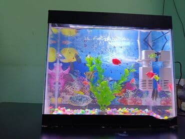 аквариум баку: Fikri ciddi olanlar əlaqə saxlasın. Komplekt akvarium seti 1.5 litr — 2