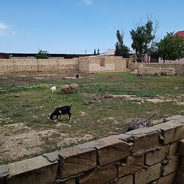 участок с времянкой: Для строительства, Купчая — 4