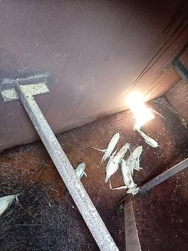 profil sekilleri dini: Bak, Paslanmayan polad, 5000 l l, İşlənmiş, Ünvandan götürmə — 3