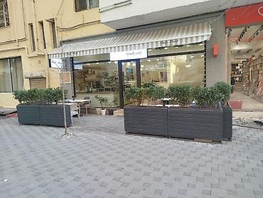 jelatin qiyməti: Dibçək güldanlar. Dipçəklər bir başa sexdən.Sex qiymətinə. ♦️Endrim — 1