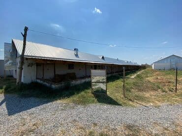 vasitəcisiz birbaşa sahibindən mənzil kirayələmək: Kənd təsərrüfatı, Mülkiyyətçi, Bələdiyyə, Kupça (Çıxarış) — 3