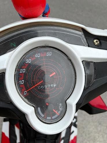 niva stoplar: - SkY 49 CC, 50 sm3, 2024 il, 6800 km — 4