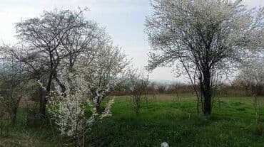 ağdaşda torpaq: 20 соток, Для строительства, Риэлторам не беспокоить, Договор — 1