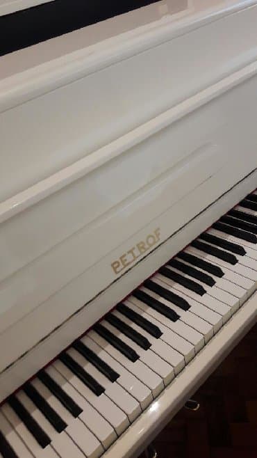 terlan elekberov: Pianimo PETROF Cexya stehsalı. Əla vəziyyədədi. Cadırılma və köklənmə — 1