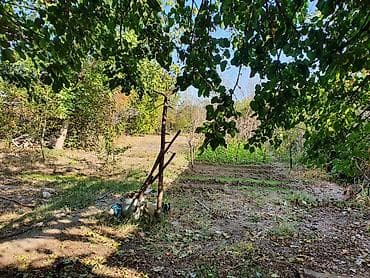 6 sot, Mülkiyyətçi, Kupça (Çıxarış)