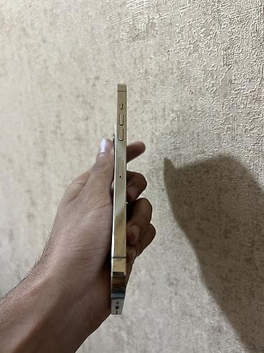 the last of: IPhone 12 Pro Max, 128 GB, Matte Gold, Face ID — 7